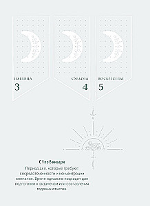 Planner - Horoscope for 2025. Leo